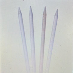 Box of Wooden Skewers